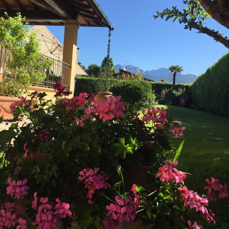 Bed and Breakfast Relais Di Alice- Adults Only Forte dei Marmi Exteriér fotografie